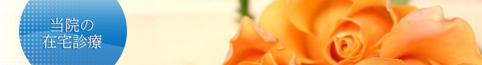 在宅診療(訪問診療・往診)